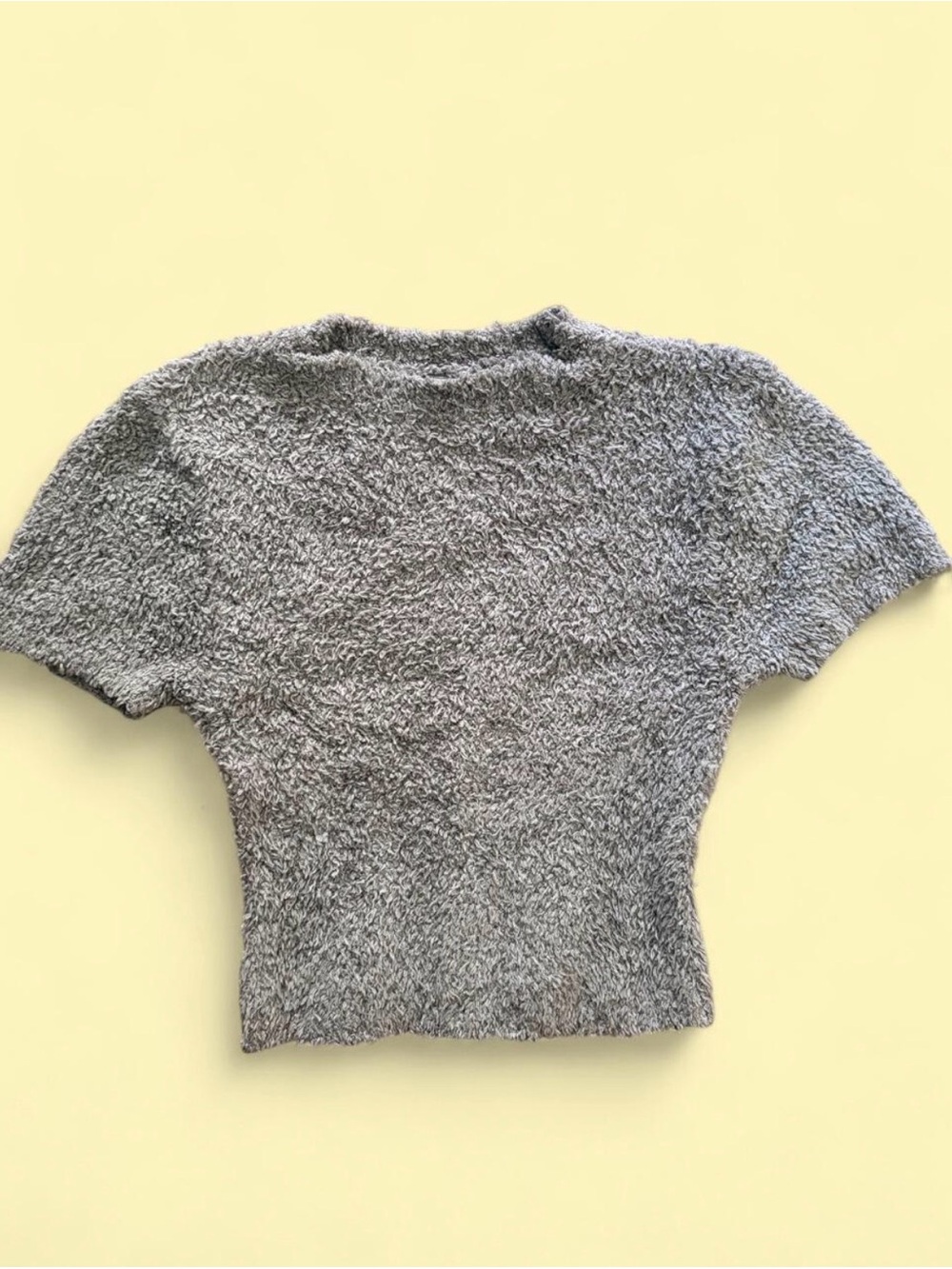 SKIMS Gray Fuzzy Short Sleeve Crop Top
